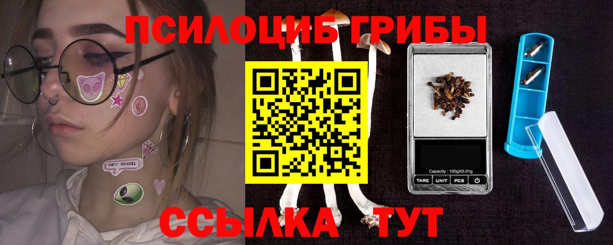 даркнет сайт  Вход с VPN  Шарыпово  Галлюциногенные грибы Psilocybine cubensis  Псилоцибиновые грибы мицелий 